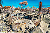 Damage from 2018 Thomas Fire, Ventura, California, USA