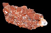 Red calcite, Mexico