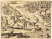 Spanish soldiers killing sea lions, 16th century