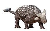 Ankylosaurus, illustration