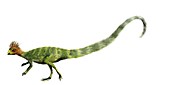 Leaellynasaura, illustration