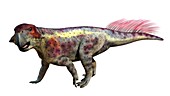 Psittacosaurus, illustration