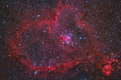 Heart Nebula, optical image