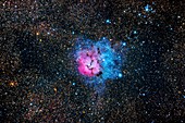 Trifid Nebula, optical image