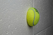 Tennis Ball Colliding with a Wall