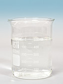 Laboratory Beaker with Clear Liquid