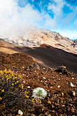 Haleakala National Park, Maui, Hawaii