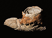 Native American bison hide moccasin Promontory Cave AD 1200
