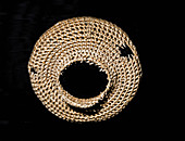 Coiled basket anasazi culture 900 bc