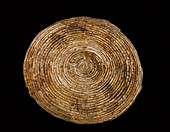 Coil basket anasazi culture ad 1200