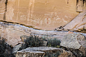 Vandalized Ute Rock Art, Sego Canyon UT