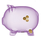 Piggy Bank X-ray