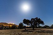 Moonlit field, time-exposure image