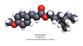 Space-Filling Model of Octinoxalate