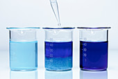 Ammonia reacts with copper sulfate