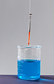 Iron Nail in Copper Sulphate, 2 of 2