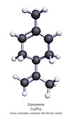 Model of Limonene, 3D Rendering