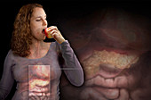 Diabetes and the Pancreas