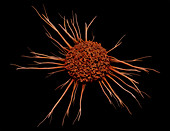 Cancer Cell, 3D Illustration