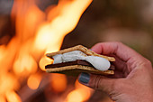 S'more with Blazing Campfire