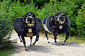 Robot, Legged Squad Support System (LS3)