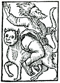 Witch Riding Backwards On Cat, 1489