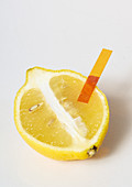 Litmus Test for Lemon Acidity