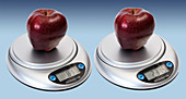 Apple Weight in Ounces and Grams