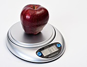 Apple Weight in Ounces
