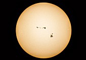 Big Sunspots on the Sun