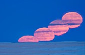 Rising and Distorted Supermoon on New Year's Day