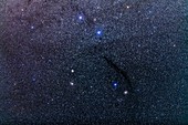 The Dark Doodad Nebula in Musca