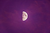 Gibbous Moon in Twilight