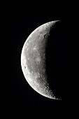 23-Day Moon