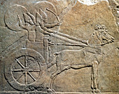 Assyrian War Chariot, Ashurbanibal Hamanu Campaign