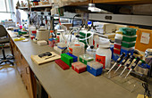 Biotechnology Lab
