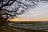 Chichester Channel low tide