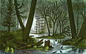 Marshy Carboniferous Forest, Illustration