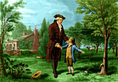 Young George Washington and Cherry Tree, 1738