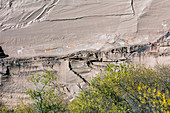 Petroglyphs, Canyon de Chelly NM