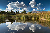 Agua Caliente Park