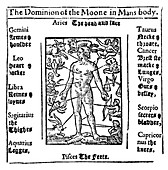 Zodiac Man, Medical Astrology, 1609