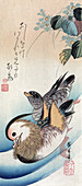 Mandarin Ducks, Lifelong Couple, 19th Century