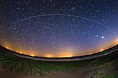 ISS light trail over a vineyard, time-exposure image