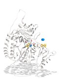 Vanadium nitrogenase molecule, illustration