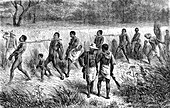 19th Century African slaves convoy, illustration