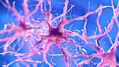 Illustration of a damaged nerve cell