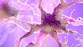 Illustration of a damaged nerve cell