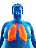 Illustration of an obese man's lungs