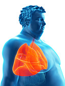 Illustration of an obese man's lungs